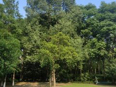 -苏州河梦清园环保主题公园