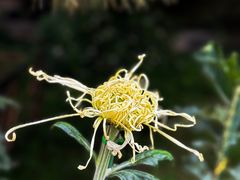 -国家植物园