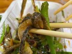-陈添記·祖傳爽鱼皮·西关老字号(广州首店)