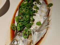 -桂满陇·海市蜃楼·黑金(国金店)