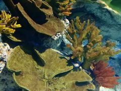 -福州罗源湾海洋世界旅游区