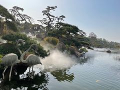 -罗红摄影艺术馆