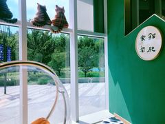 -飞行喵MR PILOT|猫舍·猫咖(静安大融城店)