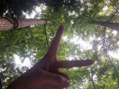 -罗家巷子休闲庄自助碳烤