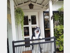 -TrueLove @ Neverland (Husky Cafe)