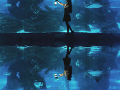 -江和美海洋公园