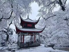 -岳麓山风景名胜区