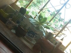 -春风十里咖啡馆