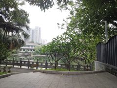 -荔湾湖公园