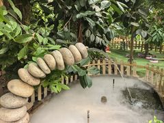 -呀路古热带植物园