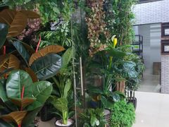 -双季花艺园艺市场(浦东店)