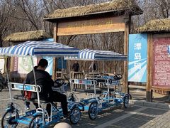 -西青郊野公园