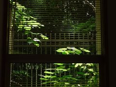 -COTTON CAFE(德信·中外公寓店)