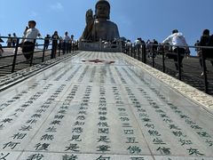 -龙口南山旅游景区