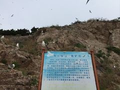 -海驴岛(荣成市)