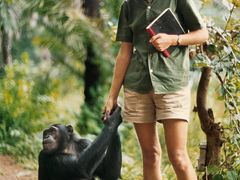 -万达影城(锦华万达广场IMAX店)