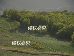 -灵山