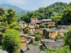 -杨家堂村