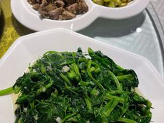 清炒豌豆尖-琬苑鸽庄·川粤融合菜(解放碑总店)