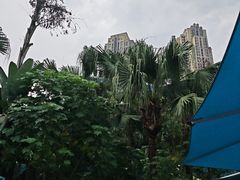 -海合安成都极地海洋公园