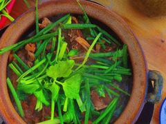 -霞姐屯昌枫木香草鸭店(海螺店)
