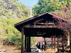 -宝岩生态观光园