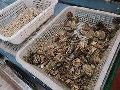 -潮庭·大连海鲜·炭火烧烤·扇贝王(大连店)