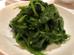 五粮液嫩豆苗-玫瑰厅上海菜(兴国路店)