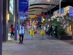 -三亚海昌梦幻海洋不夜城