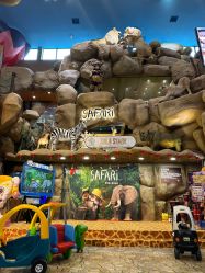 -卡通尼·Safari非洲探索乐园·生日会(金桥国际商业广场店)