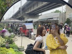 -三圣花乡旅游区