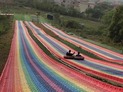 -南丹山森林王国