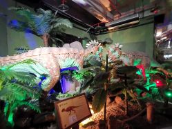 -恐龙探索乐园(磁器口店)