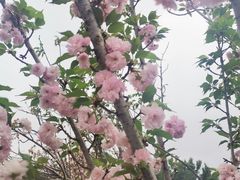 -观澜湖生态运动公社