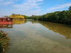 -大湾区中央湿地公园