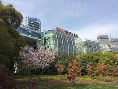 -北外滩滨江绿地