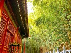 -潭柘寺景区