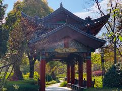 -洛龙公园