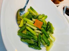 -梧桐
