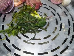 -黄寺蒸汽海鲜(黄寺大街店)