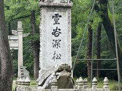 -灵谷景区