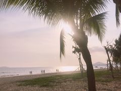 -龙泉人椰子鸡.糟粕醋.海南菜(三亚旗舰店)