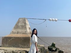 -南汇嘴观海公园