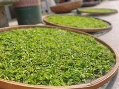 -龙坞茶村