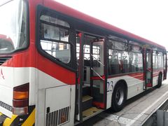 -波哥大埃尔多拉国际机场