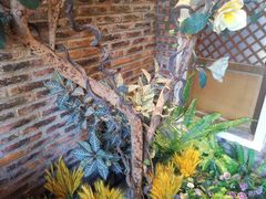 -湘邻呷铺·田园家宴(汉基广场店)