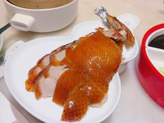 -小吊梨汤·北京菜·烤鸭(鸟巢店)