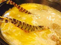 -鲜入围煮花胶鸡海鲜火锅