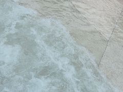 -重庆海昌加勒比海水世界