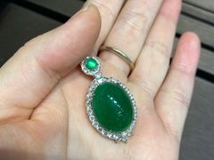 -宝鸡东道花鸟鱼虫市场(吉利花园商场店)